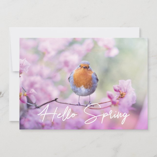 "Hello Spring" Spring Flowering Tree & Robin Bird Holiday Card (Front)