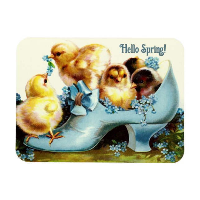 Hello Spring. Vintage Easter Chicks Gift  Magnet (Horizontal)