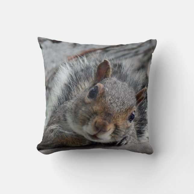 Hello squirrel throw pillow (Front)