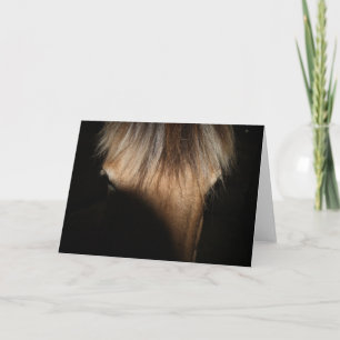 Hello, Stranger - Greeting Card