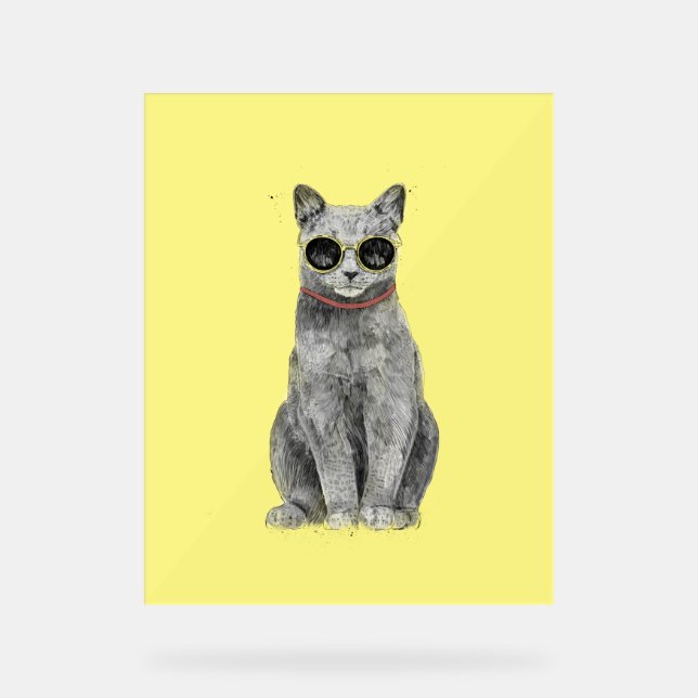 Hello Summer Acrylic Sign (Front)