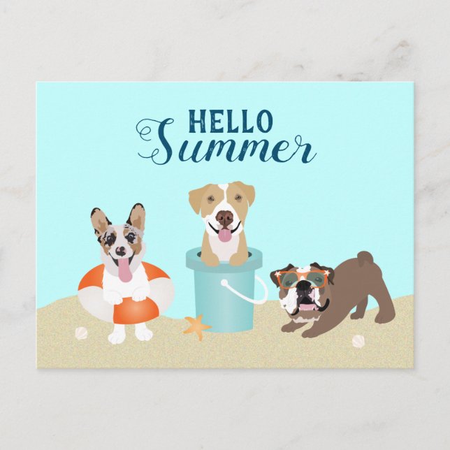 Hello Summer Beach Dogs Postcard (Front)