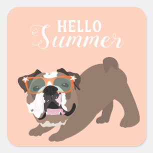 Hello Summer English Bulldog Orange Square Sticker