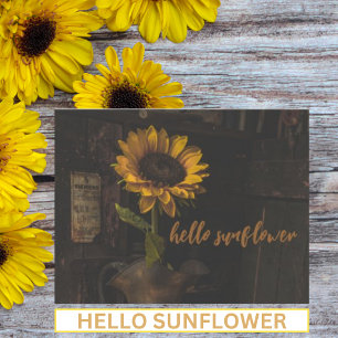 Hello Sunflower Vintage Postcard