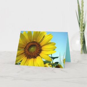 Hello sunny card