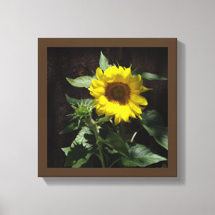 Hello Sunshine - Designer Canvas Giant Sunflower Print