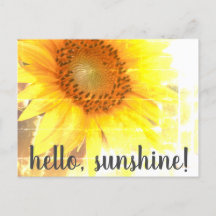 "Hello, Sunshine!" Faded Sunflower Postcard