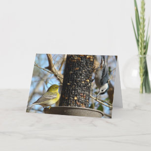 Hello There! Blank inside Card