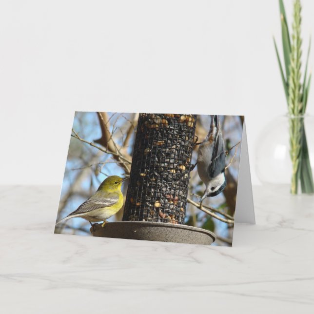 Hello There!  Blank inside Card (Front)