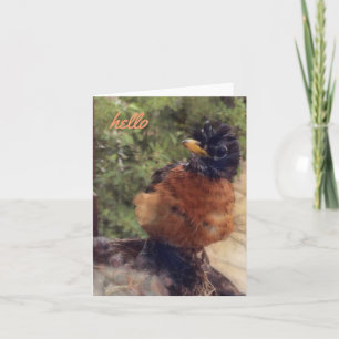 Hello There Friend (blank note card) Card