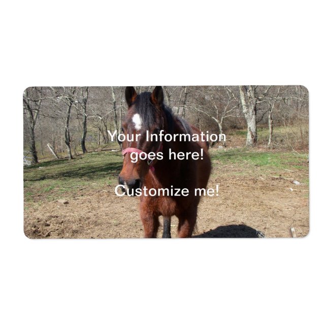 Hello There Horsey (Front)