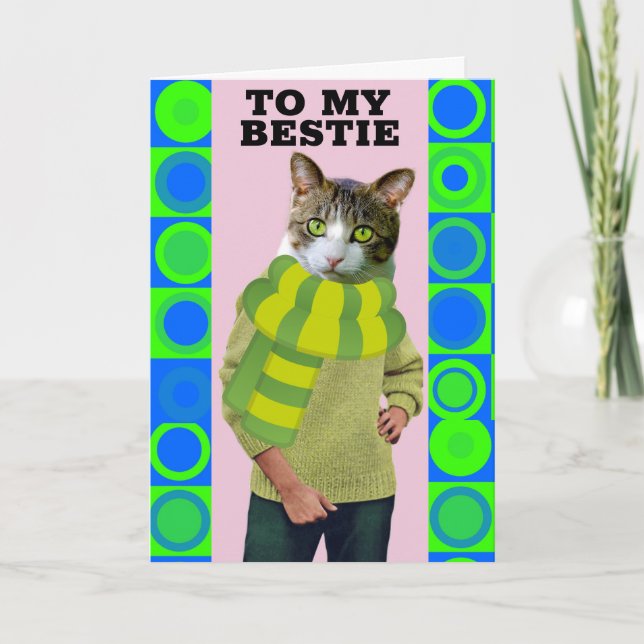 HELLO TO BEST FRIEND FUNNY CAT GREETING CARD (Front)