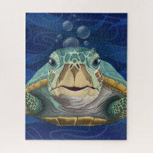 Hello Turtle
