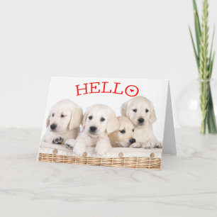 Hello White Labrador Retriever Puppy Dog Red Heart Card