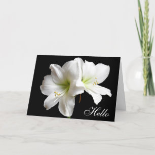 Hello White Lily Flower Greeting Card on Black