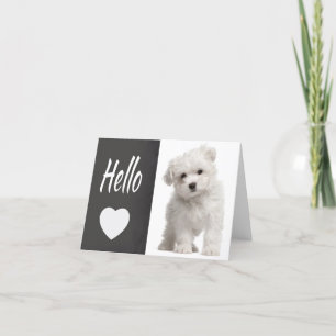 Hello White Maltese Puppy Dog Chalkboard Note Card
