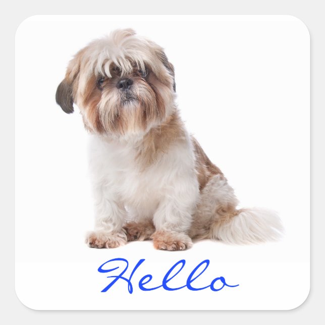 Hello White Shih Tzu Puppy Dog Greeting Stickers (Front)