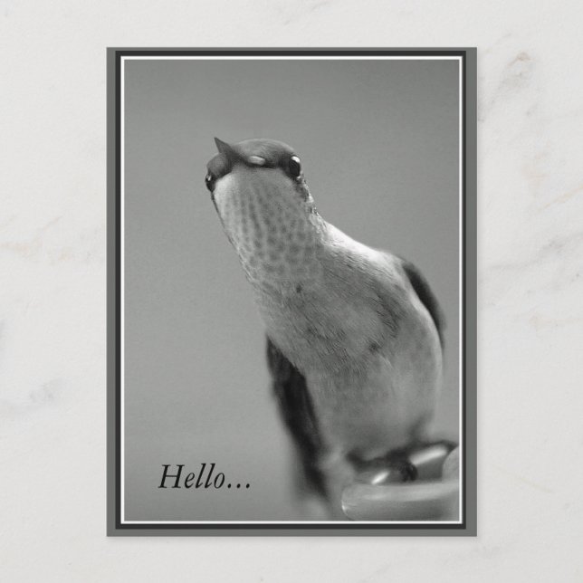 Hello...With Text Postcard (Front)
