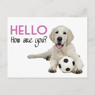 Hello Yellow Labrador Retriever Post Card