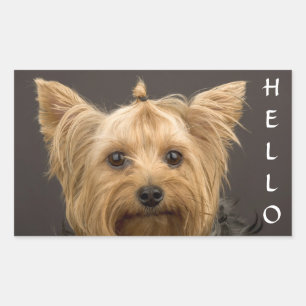 Hello  Yorkshire Terrier Yorkie Puppy Dog Stickers