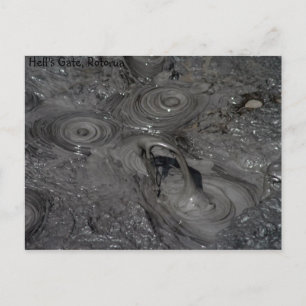 Hell's Gate Mud Pool Postcard