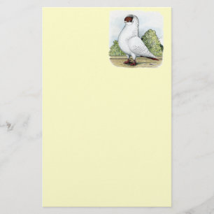 Helmet: Red Pigeon Stationery