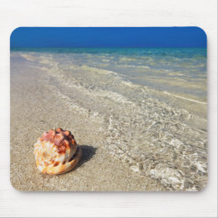 Helmet Shell In Tropical Lagoon  Cassis Rufa Mouse Pad