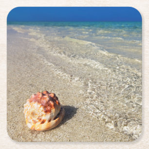 Helmet Shell In Tropical Lagoon  Cassis Rufa Square Paper Coaster