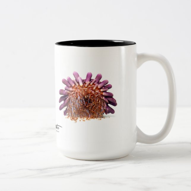 Helmet Urchin, Colobocentrotus atratus Two-Tone Coffee Mug (Right)