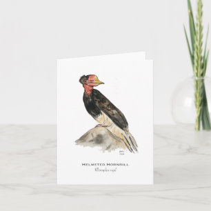 Helmeted Hornbill Folded Note Card