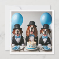 Help celebrate our little gentleman, dog birthday