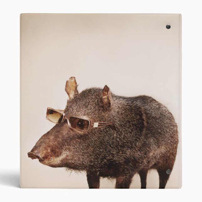 Help from us? binder (Back)