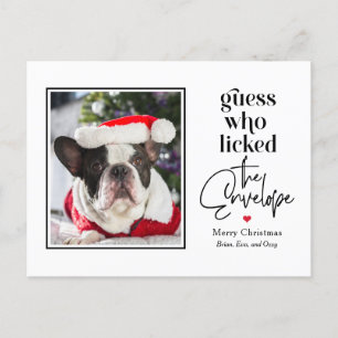 Helpful Pet EDITABLE COLOR Holiday Christmas