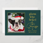 Helpful Pet Foil Holiday Card Christmas Card