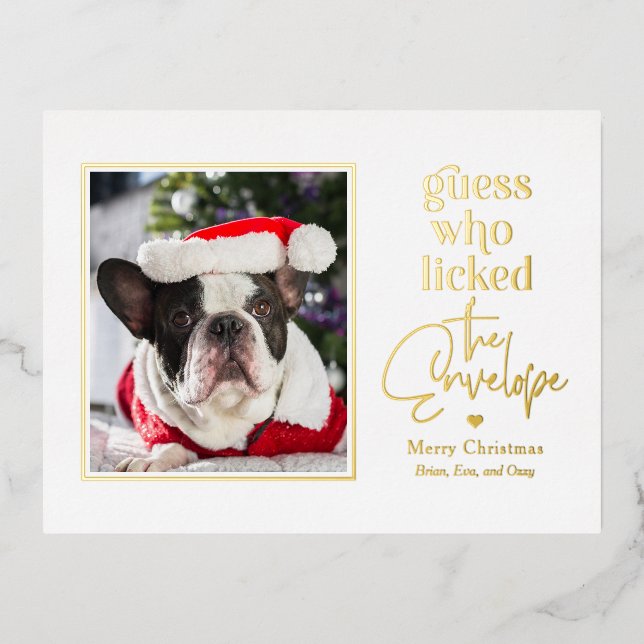 Helpful Pet Foil Holiday Postcard Christmas Card (Front)