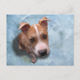 Hemi the Pit Bull Puppy Postcard