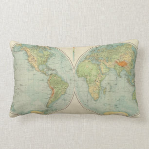 Hemispheres 12 physical lumbar pillow
