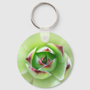 Hen and Chicks Beautiful Succulent Flower Plant Keychain