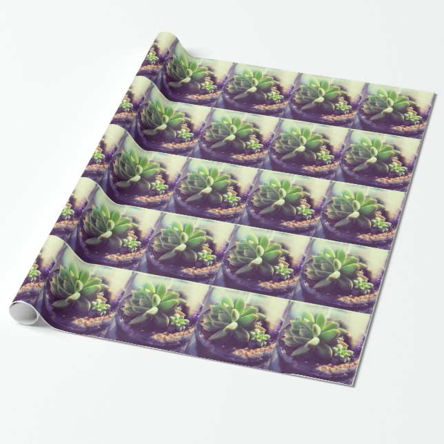 Hen and Chicks Plant Wrapping Paper (Unrolled)
