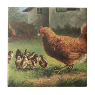 Hen and Chicks Tile