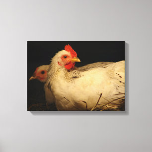 Hen and Rooster in Black and White Canvas Print