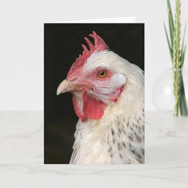 Hen Birthday card in Czech (Front)