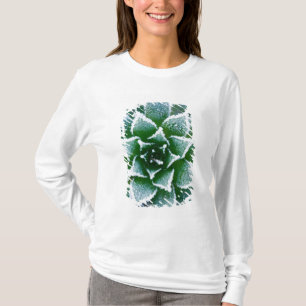 Hen & Chicks succulent with frost in the early T-Shirt