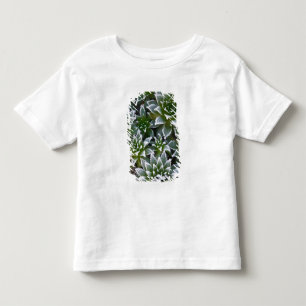 Hen & Chicks succulent with frost in the early Toddler T-shirt