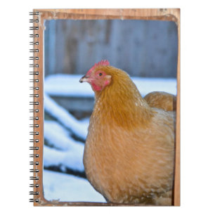 Hen In Coop Doorway Notebook