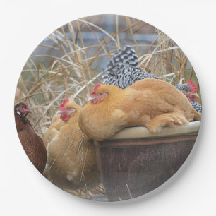 Hen Party Paper Plate