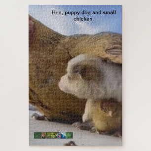 Hen, puppy dog and small chicken puzzle. jigsaw puzzle