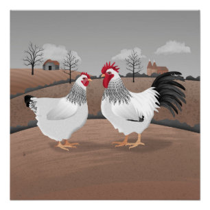Hen & Rooster Poster