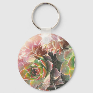 Hen snd Chick Plants, Succulents, Plant Photograph Keychain