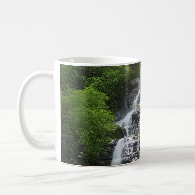 Hen Wallow Falls Smoky Mountain National Park Coffee Mug (Left)